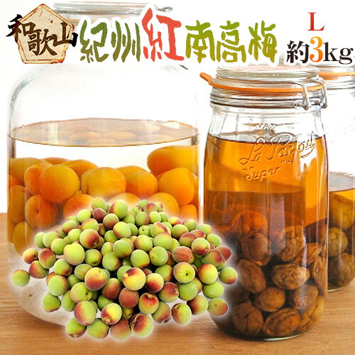 ”紀州・和歌山産 紅南高梅” 秀品 L 約3kg【予約 5月下旬以降】 送料無料