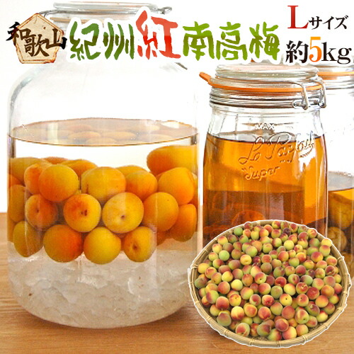 ”紀州・和歌山産 紅南高梅” 秀品 L 約5kg【予約 5月下旬以降】 送料無料