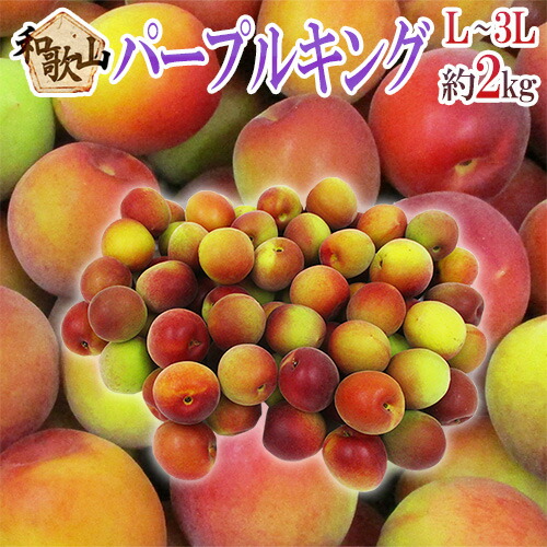 ”和歌山産 JA紀南 パープルキング” 秀品 L～3L 約2kg 大梅 南高梅【予約 5月末以降】 送料無料