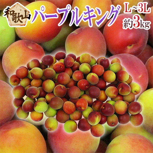 ”和歌山産 JA紀南 パープルキング” 秀品 L～3L 約3kg 大梅 南高梅【予約 5月末以降】 送料無料