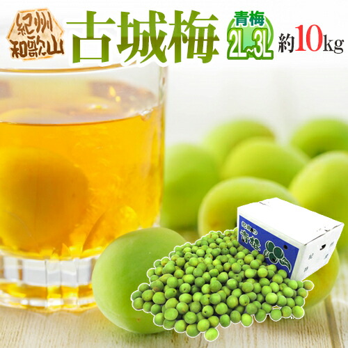 紀州・和歌山産 ”古城梅” 秀品 2L～3L 約10kg【予約 5月末以降】 送料無料