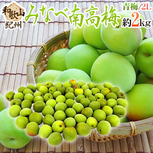 ”紀州・和歌山産 みなべ南高梅 青梅” 2L 約2kg【予約 5月中旬以降】 送料無料