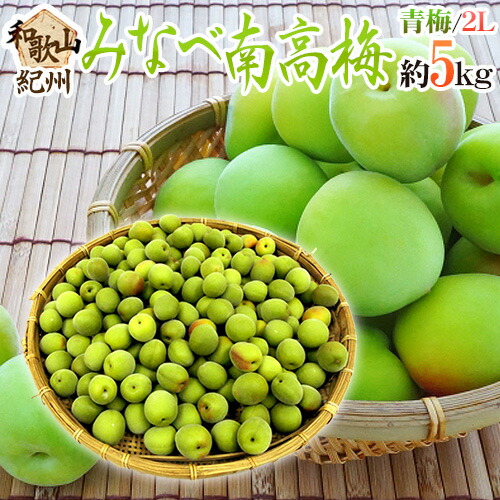 ”紀州・和歌山産 みなべ南高梅 青梅” 2L 約5kg【予約 5月中旬以降】 送料無料