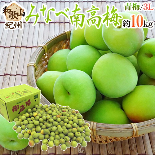 紀州・和歌山産 ”みなべ南高梅 青梅” 秀品 3L 約10kg【予約 5月中旬以降】 送料無料