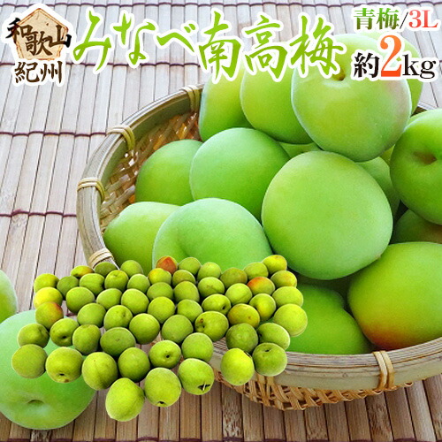 ”紀州・和歌山産 みなべ南高梅 青梅” 3L 約2kg【予約 5月中旬以降】 送料無料