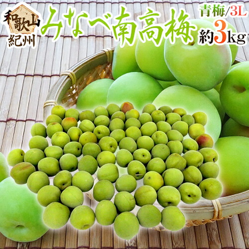 ”紀州・和歌山産 みなべ南高梅 青梅” 3L 約3kg【予約 5月中旬以降】 送料無料