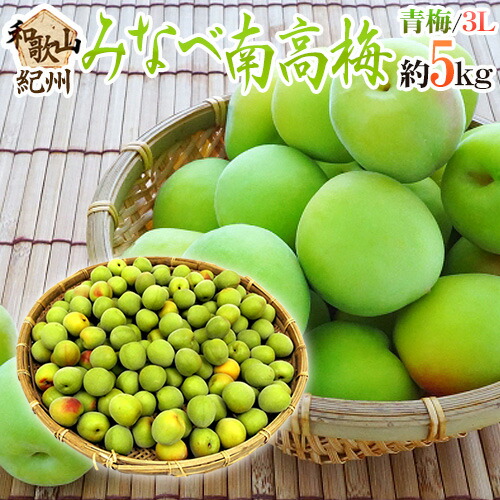 ”紀州・和歌山産 みなべ南高梅 青梅” 3L 約5kg【予約 5月中旬以降】 送料無料