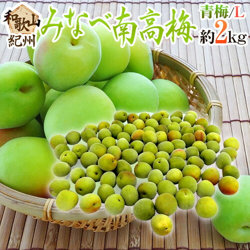 ”紀州・和歌山産 みなべ南高梅 青梅” L 約2kg【予約 5月中旬以降】 送料無料