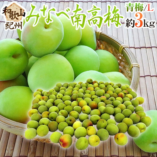”紀州・和歌山産 みなべ南高梅 青梅” L 約3kg【予約 5月中旬以降】 送料無料