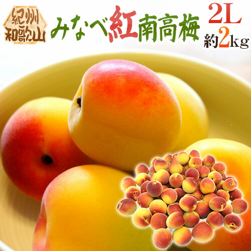 ”紀州・和歌山産 みなべ紅南高梅” 秀品 2L 約2kg【予約 5月末以降】 送料無料