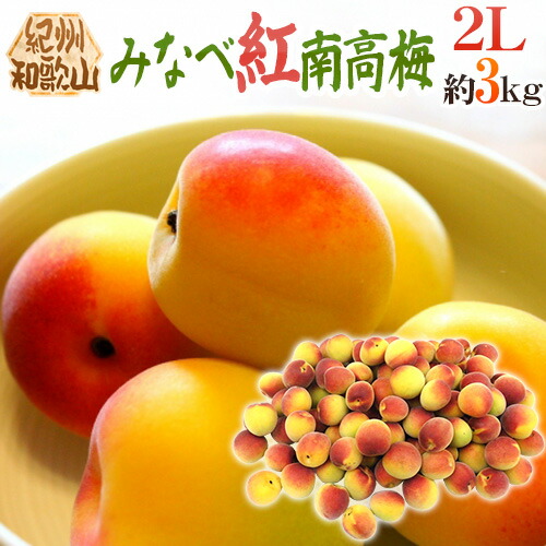 ”紀州・和歌山産 みなべ紅南高梅” 秀品 2L 約3kg【予約 5月末以降】 送料無料