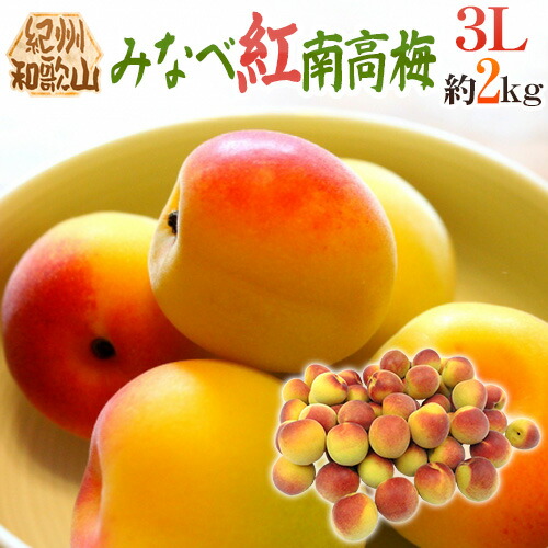”紀州・和歌山産 みなべ紅南高梅” 秀品 3L 約2kg【予約 5月末以降】 送料無料