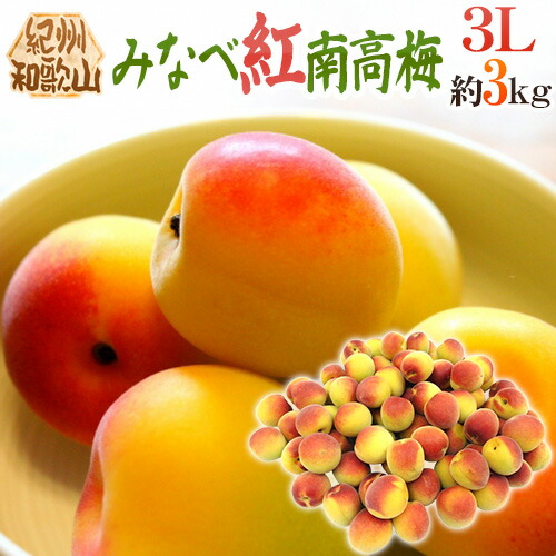 ”紀州・和歌山産 みなべ紅南高梅” 秀品 3L 約3kg【予約 5月末以降】 送料無料