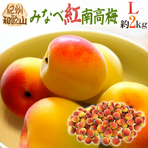 ”紀州・和歌山産 みなべ紅南高梅” 秀品 L 約2kg【予約 5月末以降】 送料無料
