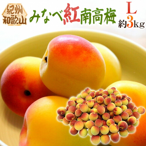 ”紀州・和歌山産 みなべ紅南高梅” 秀品 L 約3kg【予約 5月末以降】 送料無料
