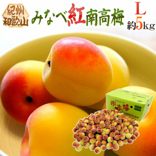 ”紀州・和歌山産 みなべ紅南高梅” 秀品 L 約5kg【予約 5月末以降】 送料無料