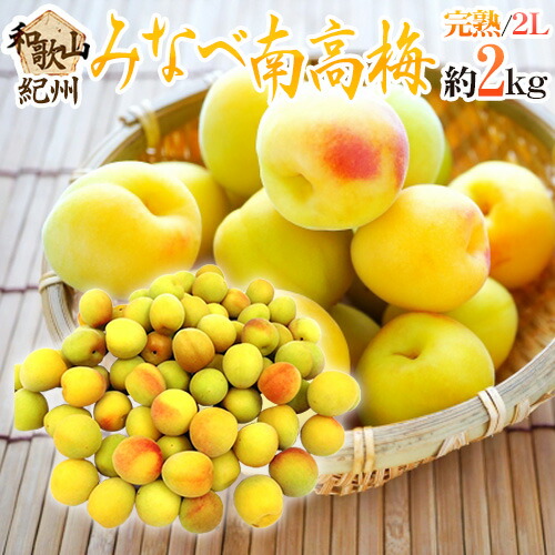 ”紀州・和歌山産 みなべ南高梅 熟梅” 秀品 2L 約2kg【予約 6月以降】 送料無料