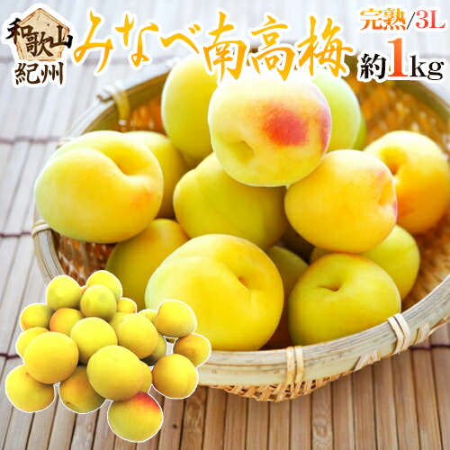 紀州・和歌山産　”みなべ南高梅　熟梅”　約1kg《10キロ以上ご購入で送料無料》【予約　6月以降】　秀品　3L