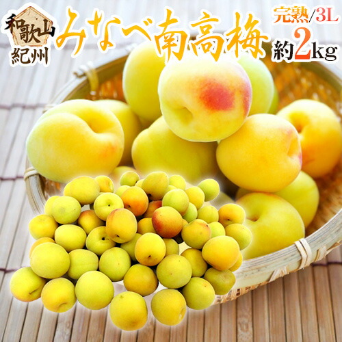 ”紀州・和歌山産 みなべ南高梅 熟梅” 秀品 3L 約2kg【予約 6月以降】 送料無料
