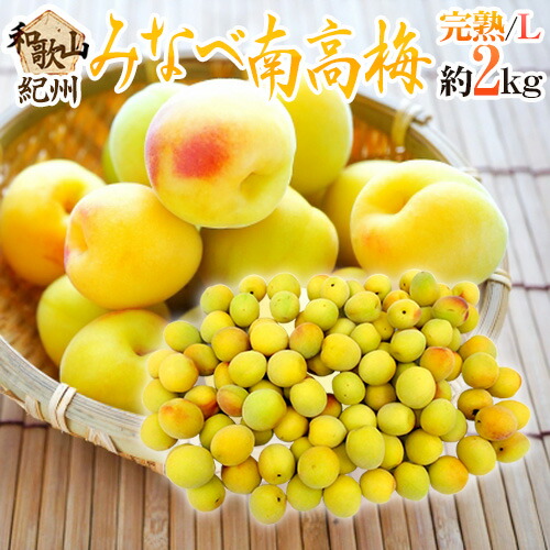”紀州・和歌山産 みなべ南高梅 熟梅” 秀品 L 約2kg【予約 6月以降】 送料無料