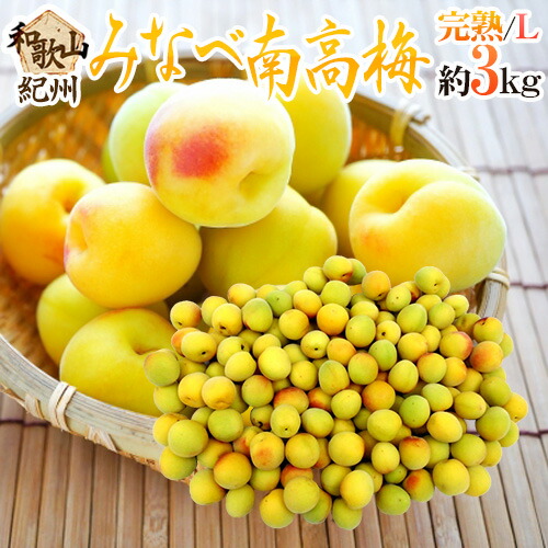 ”紀州・和歌山産 みなべ南高梅 熟梅” 秀品 L 約3kg【予約 6月以降】 送料無料