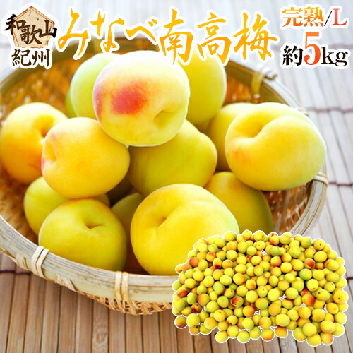 ”紀州・和歌山産 みなべ南高梅 熟梅” 秀品 L 約5kg【予約 6月以降】 送料無料