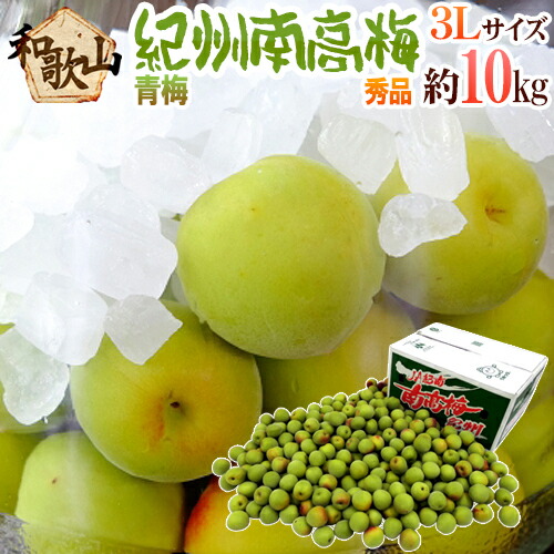 紀州・和歌山産 ”南高梅 青梅” 秀品 3L 約10kg【予約 5月中旬以降】 送料無料