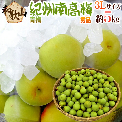 ”紀州・和歌山産 南高梅 青梅” 秀品 3L 約5kg【予約 5月中旬以降】 送料無料