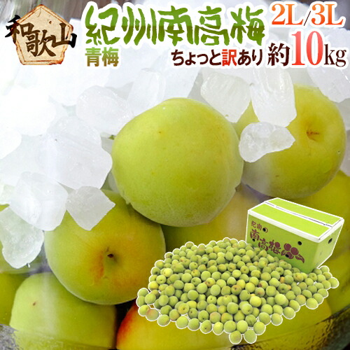 紀州・和歌山産 ”南高梅 青梅” ちょっと訳あり 2L～3L 約10kg【予約 5月中旬以降】 送料無料