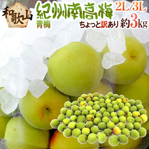 ”紀州・和歌山産 南高梅 青梅” ちょっと訳あり 2L～3L 約3kg【予約 5月中旬以降】 送料無料