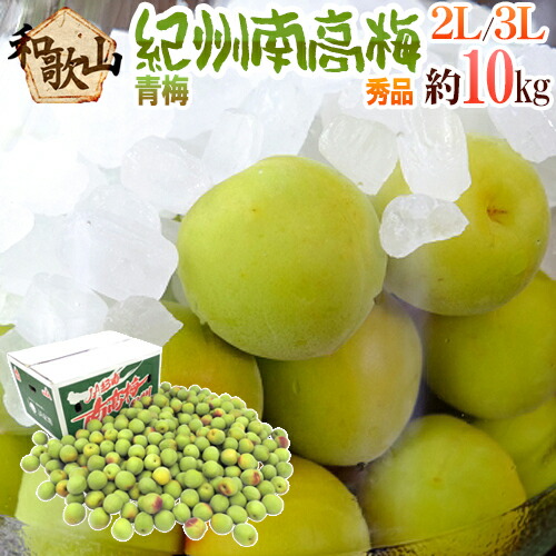 紀州・和歌山産 ”南高梅 青梅” 秀品 2L～3L 約10kg【予約 5月中旬以降】 送料無料