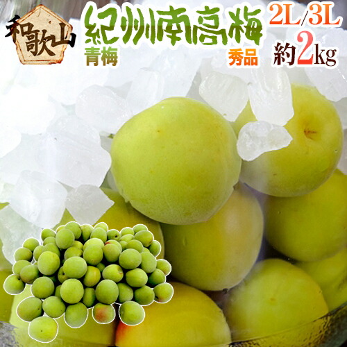 ”紀州・和歌山産 南高梅 青梅” 秀品 2L～3L 約2kg【予約 5月中旬以降】 送料無料