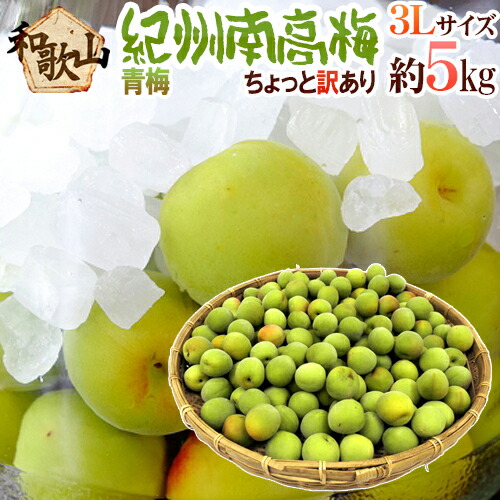 ”紀州・和歌山産 南高梅 青梅” ちょっと訳あり 3L 約5kg【予約 5月中旬以降】 送料無料