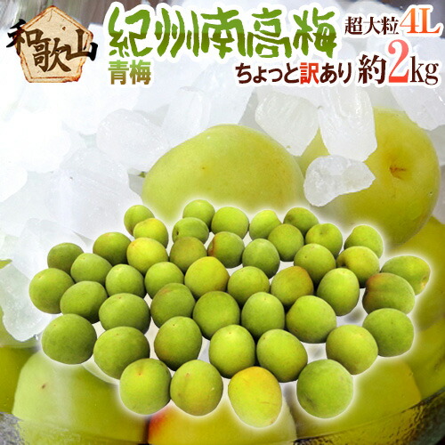 ”紀州・和歌山産 南高梅 青梅” ちょっと訳あり 4L 約2kg【予約 5月中旬以降】 送料無料
