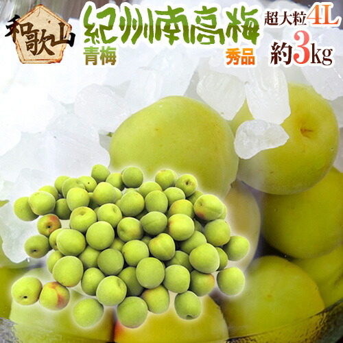 ”紀州・和歌山産 南高梅 青梅” 秀品 4L 約3kg【予約 5月中旬以降】 送料無料