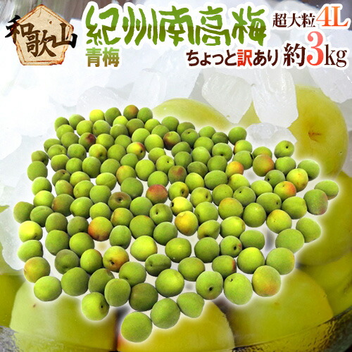 ”紀州・和歌山産 南高梅 青梅” ちょっと訳あり 4L 約3kg【予約 5月中旬以降】 送料無料