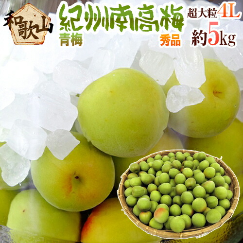 ”紀州・和歌山産 南高梅 青梅” 秀品 4L 約5kg【予約 5月中旬以降】 送料無料