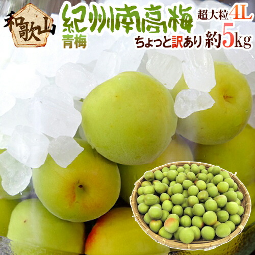 ”紀州・和歌山産 南高梅 青梅” ちょっと訳あり 4L 約5kg【予約 5月中旬以降】 送料無料