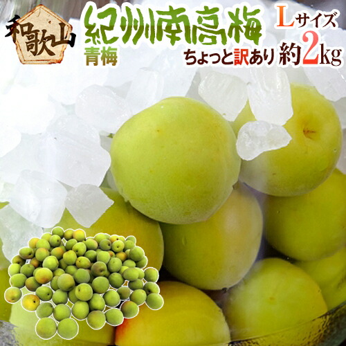 ”紀州・和歌山産 南高梅 青梅” ちょっと訳あり L 約2kg【予約 5月中旬以降】 送料無料