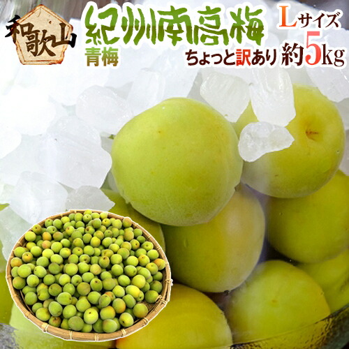 ”紀州・和歌山産 南高梅 青梅” ちょっと訳あり L 約5kg【予約 5月中旬以降】 送料無料