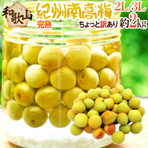 ”紀州・和歌山産 南高梅 完熟” 2L～3L 約2kg ちょっと訳あり【予約 6月以降】 送料無料