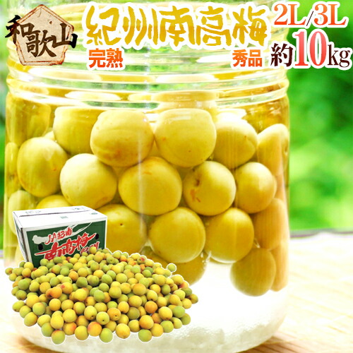 紀州・和歌山産 ”南高梅 完熟” 秀品 2L～3L 約10kg【予約 6月以降】 送料無料