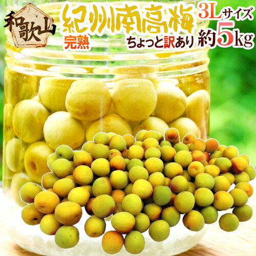 ”紀州・和歌山産 南高梅 完熟” 3L 約5kg ちょっと訳あり【予約 6月以降】 送料無料
