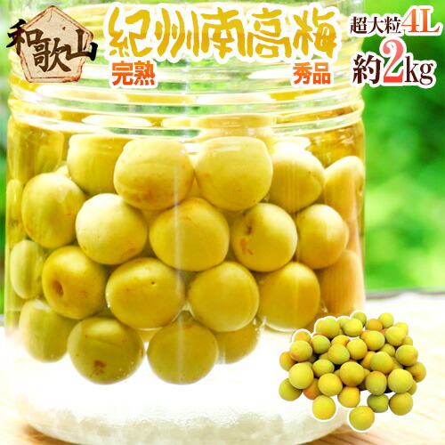 ”紀州・和歌山産 南高梅 完熟” 秀品 4L 約2kg【予約 6月以降】 送料無料