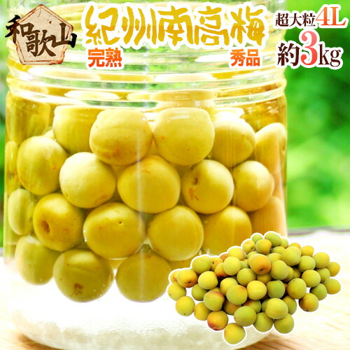 ”紀州・和歌山産 南高梅 完熟” 秀品 4L 約3kg【予約 6月以降】 送料無料