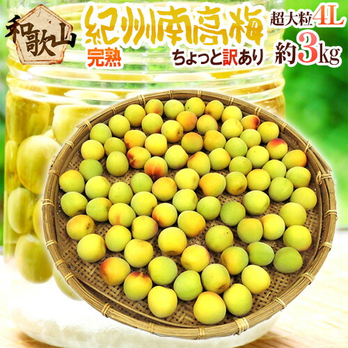 ”紀州・和歌山産 南高梅 完熟” 4L 約3kg ちょっと訳あり【予約 6月以降】 送料無料