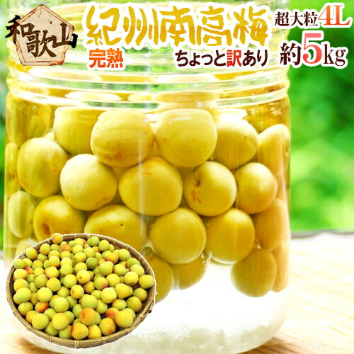 ”紀州・和歌山産 南高梅 完熟” 4L 約5kg ちょっと訳あり【予約 6月以降】 送料無料