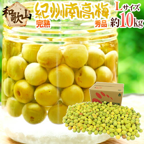 紀州・和歌山産 ”南高梅 完熟” 秀品 L 約10kg【予約 6月以降】 送料無料