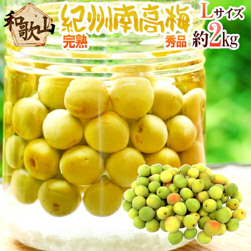 ”紀州・和歌山産 南高梅 完熟” 秀品 L 約2kg【予約 6月以降】 送料無料
