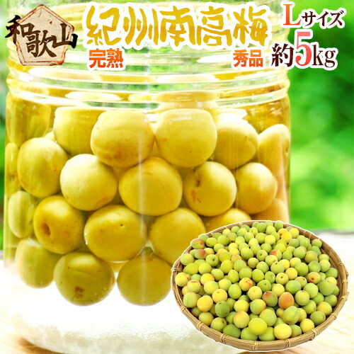 ”紀州・和歌山産 南高梅 完熟” 秀品 L 約5kg【予約 6月以降】 送料無料